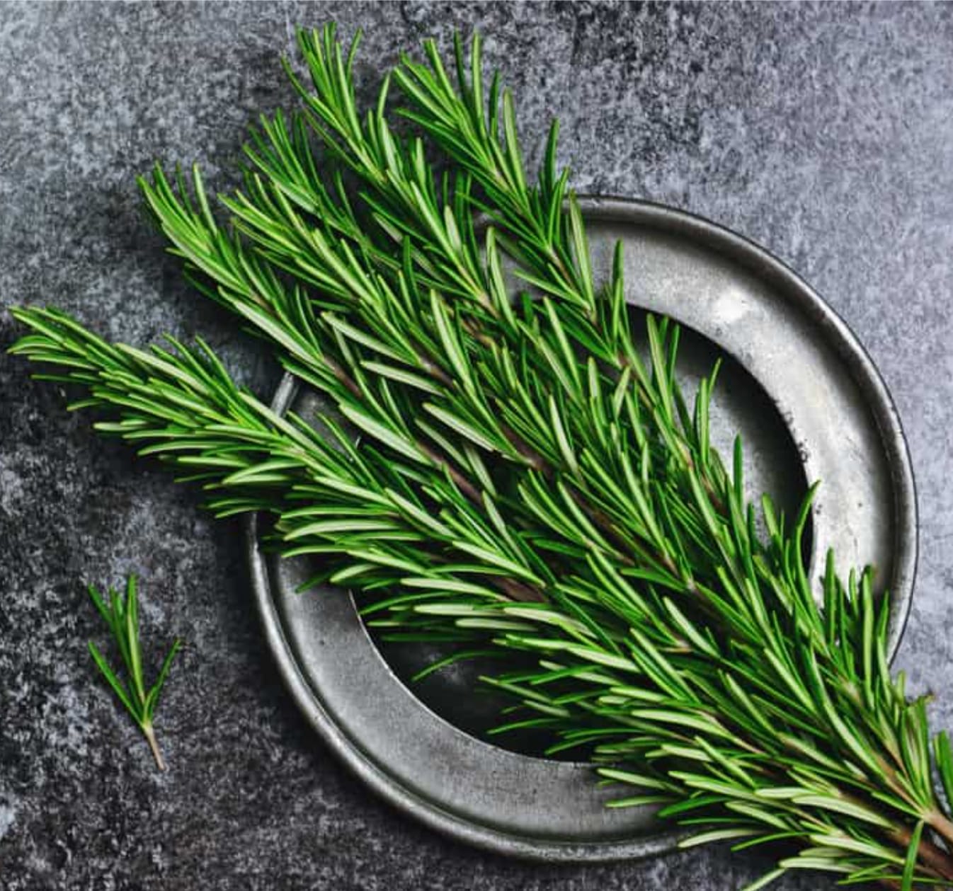 HAIR OIL : Amla Rosemary Hair Oil