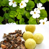 Brahmi-Amla Hair Oil -Herbal Hair Care Oil in Canada